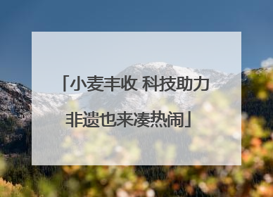 小麦丰收 科技助力 非遗也来凑热闹