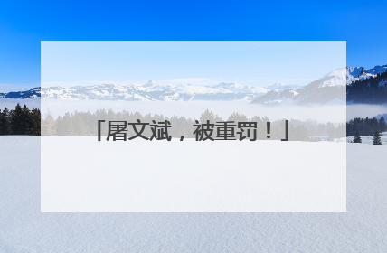 屠文斌，被重罚！