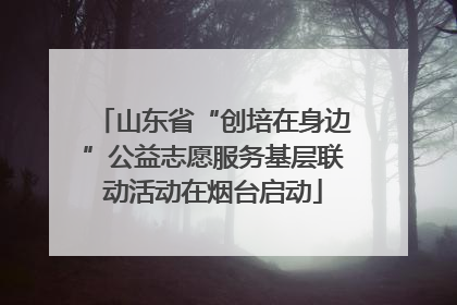 山东省“创培在身边”公益志愿服务基层联动活动在烟台启动