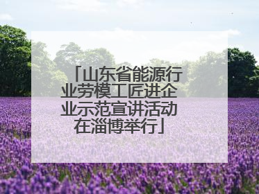 山东省能源行业劳模工匠进企业示范宣讲活动在淄博举行