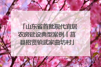 山东省首批现代宜居农房建设典型案例丨莒县招贤镇武家曲坊村