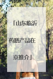 山东临沂药膳产品在京推介