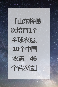 山东将梯次培育1个全球农遗、10个中国农遗、46个省农遗