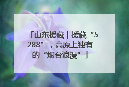 山东援藏｜援藏“5288”，高原上独有的“烟台浪漫”