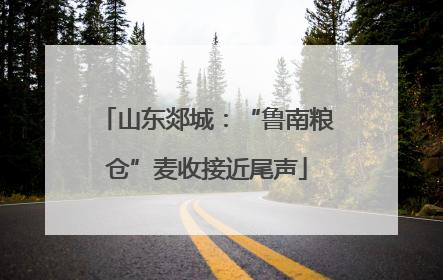 山东郯城：“鲁南粮仓”麦收接近尾声