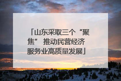 山东采取三个“聚焦” 推动民营经济服务业高质量发展