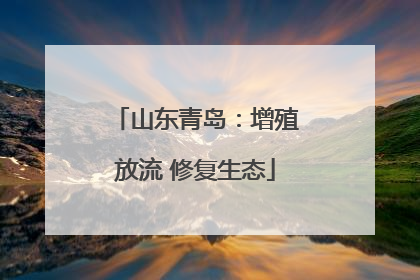 山东青岛：增殖放流 修复生态