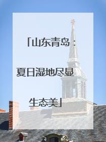 山东青岛：夏日湿地尽显生态美