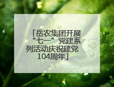 岳农集团开展“七一”党建系列活动庆祝建党104周年