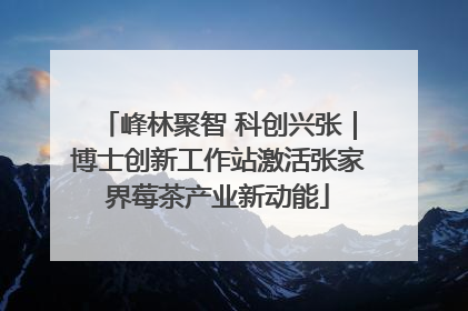 峰林聚智 科创兴张｜博士创新工作站激活张家界莓茶产业新动能