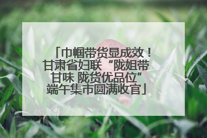 巾帼带货显成效！甘肃省妇联“陇姐带甘味 陇货优品位”端午集市圆满收官