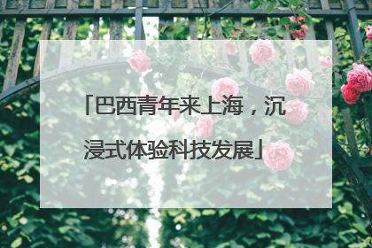 巴西青年来上海，沉浸式体验科技发展