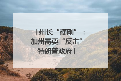 州长“硬刚”：加州需要“反击”特朗普政府