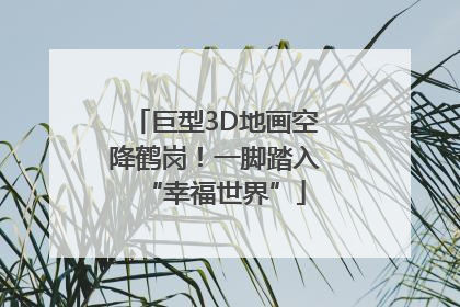 巨型3D地画空降鹤岗！一脚踏入“幸福世界”
