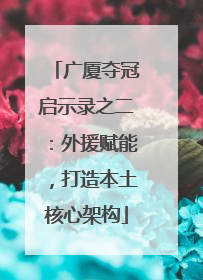 广厦夺冠启示录之二：外援赋能，打造本土核心架构