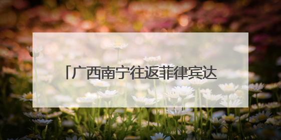 广西南宁往返菲律宾达沃国际货运航线开通
