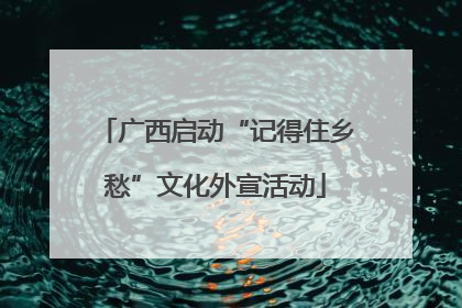广西启动“记得住乡愁”文化外宣活动