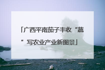广西平南茄子丰收“蔬”写农业产业新图景