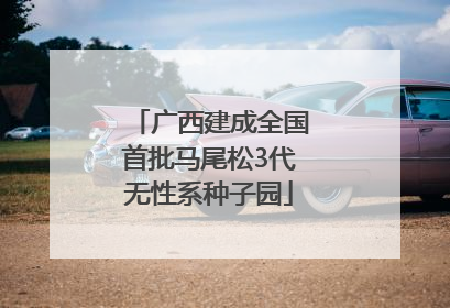 广西建成全国首批马尾松3代无性系种子园