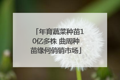 年育蔬菜种苗10亿多株 曲周种苗缘何俏销市场
