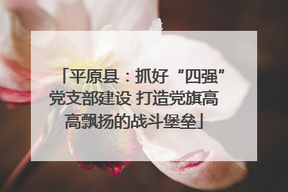 平原县：抓好“四强”党支部建设 打造党旗高高飘扬的战斗堡垒