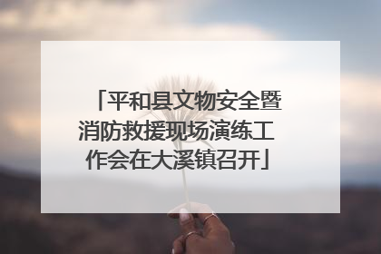 平和县文物安全暨消防救援现场演练工作会在大溪镇召开