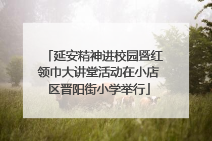 延安精神进校园暨红领巾大讲堂活动在小店区晋阳街小学举行