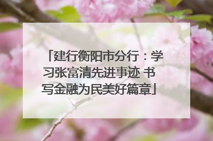 建行衡阳市分行：学习张富清先进事迹 书写金融为民美好篇章