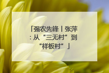 强农先锋丨张萍：从“三无村”到“样板村”