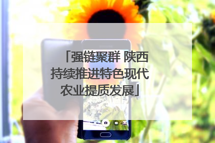强链聚群 陕西持续推进特色现代农业提质发展