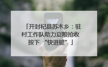 开封杞县苏木乡：驻村工作队助力夏粮抢收按下 “快进键”