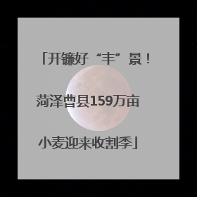 开镰好“丰”景！菏泽曹县159万亩小麦迎来收割季