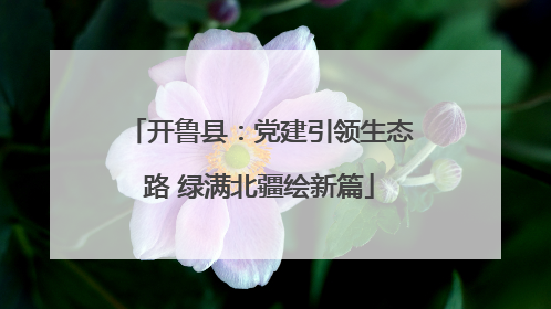 开鲁县：党建引领生态路 绿满北疆绘新篇