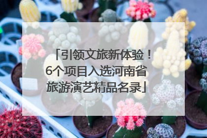 引领文旅新体验！6个项目入选河南省旅游演艺精品名录