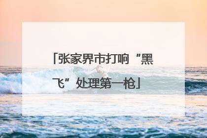 张家界市打响“黑飞”处理第一枪
