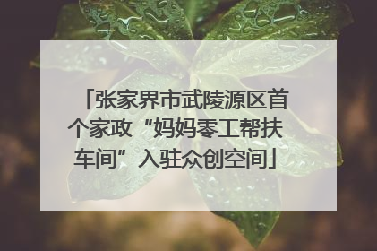 张家界市武陵源区首个家政“妈妈零工帮扶车间”入驻众创空间