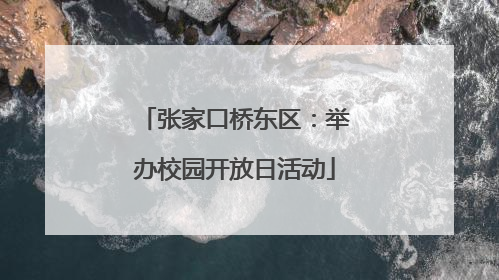 张家口桥东区：举办校园开放日活动