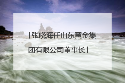 张晓海任山东黄金集团有限公司董事长