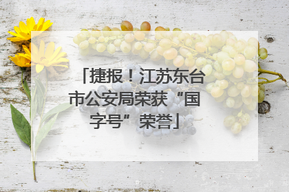 捷报！江苏东台市公安局荣获“国字号”荣誉