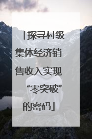 探寻村级集体经济销售收入实现“零突破”的密码