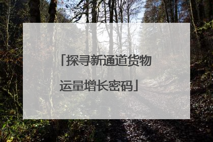 探寻新通道货物运量增长密码