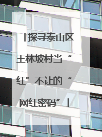 探寻泰山区王林坡村当“红”不让的“网红密码”