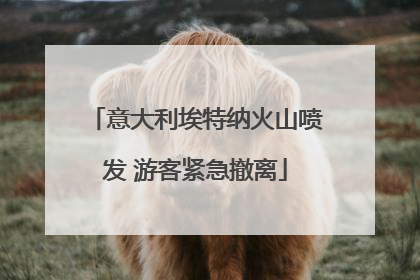 意大利埃特纳火山喷发 游客紧急撤离