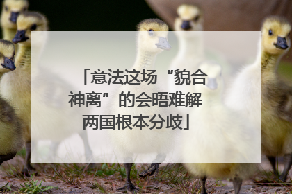 意法这场“貌合神离”的会晤难解两国根本分歧
