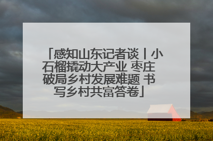感知山东记者谈丨小石榴撬动大产业 枣庄破局乡村发展难题 书写乡村共富答卷