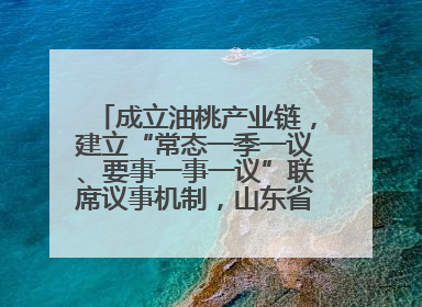 成立油桃产业链，建立“常态一季一议、要事一事一议”联席议事机制，山东省日照市莒县果庄镇——13个党小组“全周期”育果