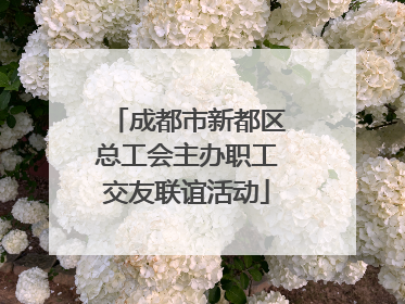 成都市新都区总工会主办职工交友联谊活动