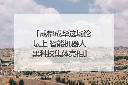 成都成华这场论坛上 智能机器人黑科技集体亮相
