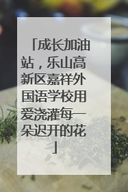 成长加油站，乐山高新区嘉祥外国语学校用爱浇灌每一朵迟开的花