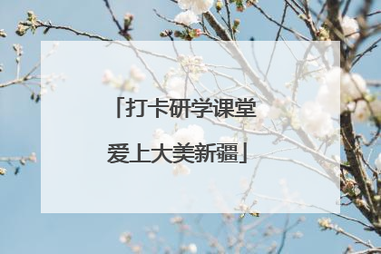 打卡研学课堂 爱上大美新疆